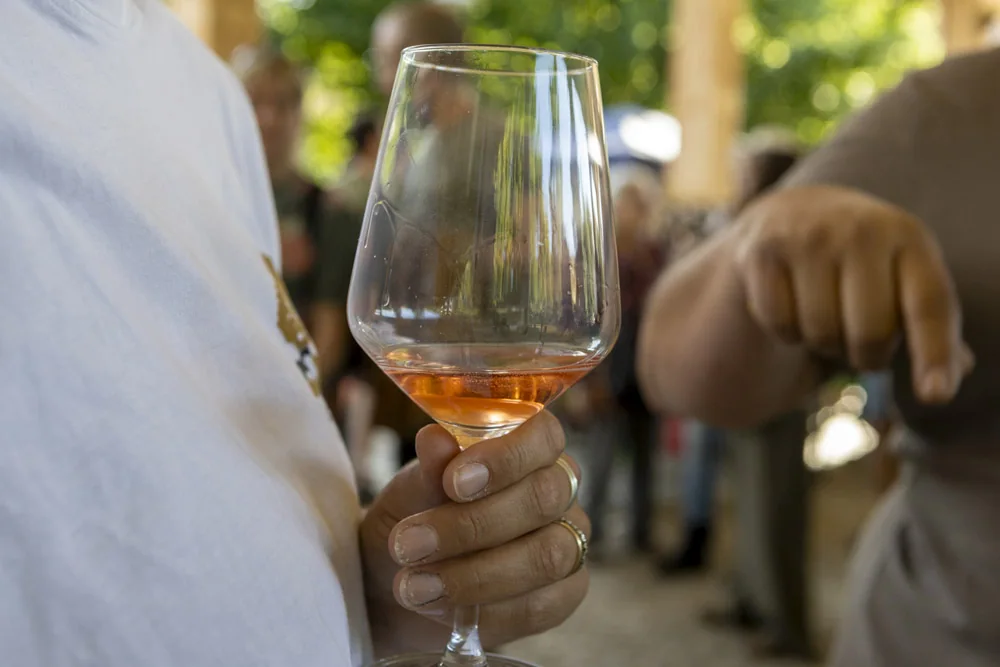 Un calice durante le degustazioni