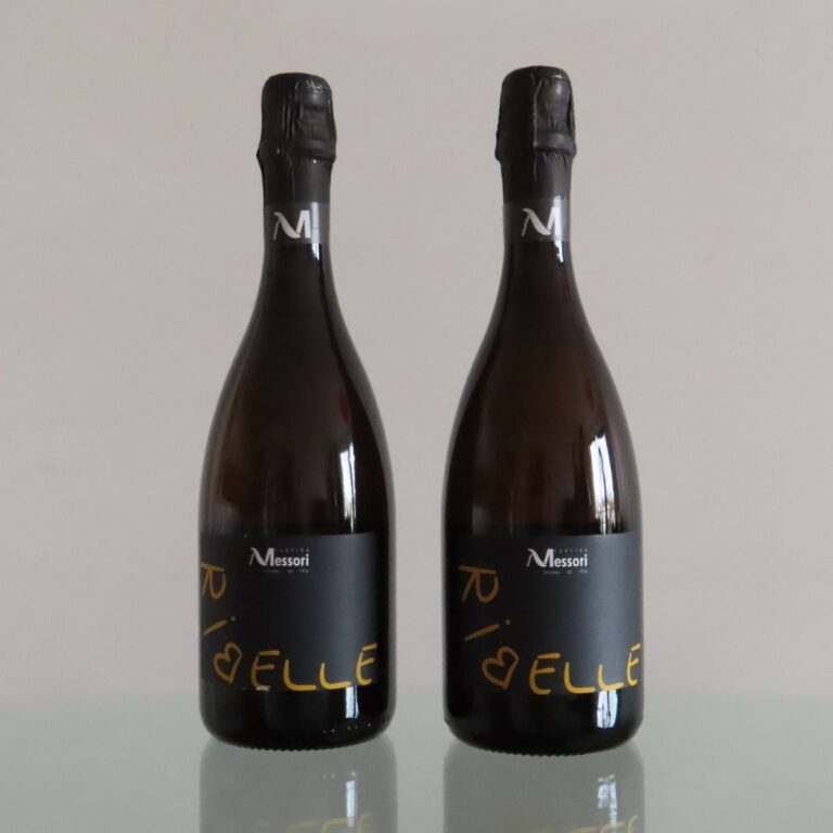Due bottiglie di vino spumante Ribelle di Cantina Messori con etichetta scura e dettagli dorati.