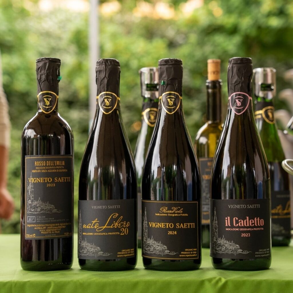 Schiera di bottiglie di vino biologico Vigneti Saetti tra cui Rosso dell'Emilia, Nato Libero 20, RossoViola 2024 e il Cadetto 2023.